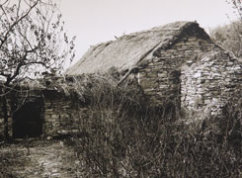 1940年10月，魯中區黨委在沂南縣艾峪湖成立。1.jpg
